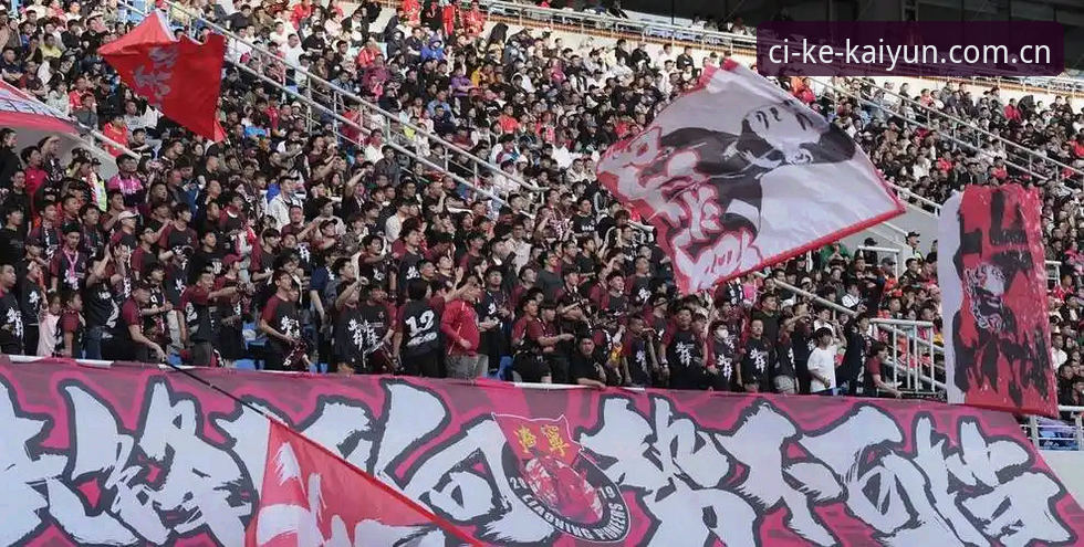老球迷的夏窗观察：辽宁铁人换外援前，先想清楚这三笔账